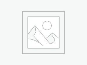 Sleek Smartphone Pro